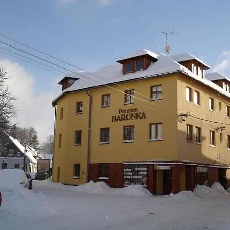 Penzion Barunka Vysoké nad Jizerou Buitenkant foto